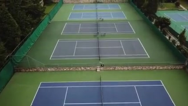 Tenis